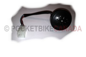 rzr horn